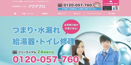 アクアプロのHPキャプチャ