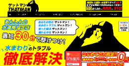 ザットマンのHPキャプチャ